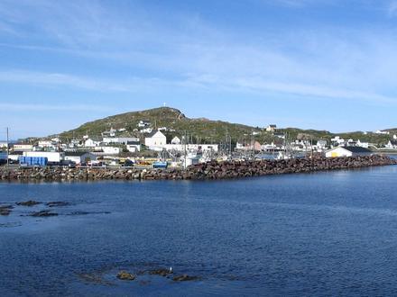 Twillingate Image