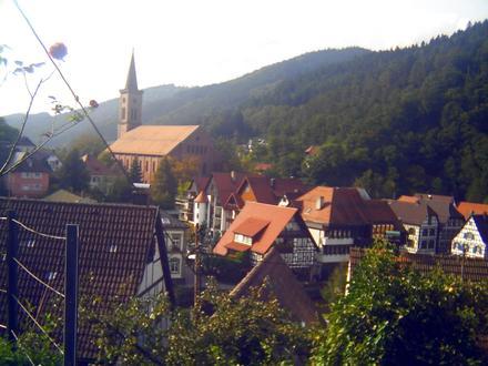 Schiltach Image