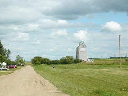 Broderick Image