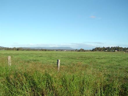 Chambers Flat Image
