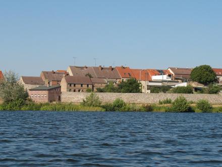 Lychen Image