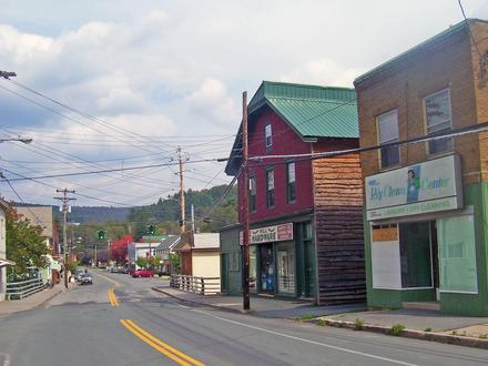 Livingston Manor Image