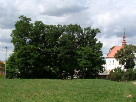 Łukawa (województwo świętokrzyskie) Image