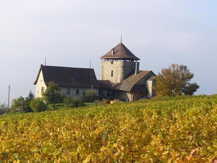 Lutry Image