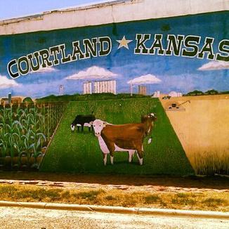 Courtland Image