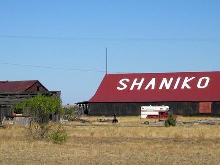 Shaniko Image