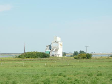 Stalwart Image