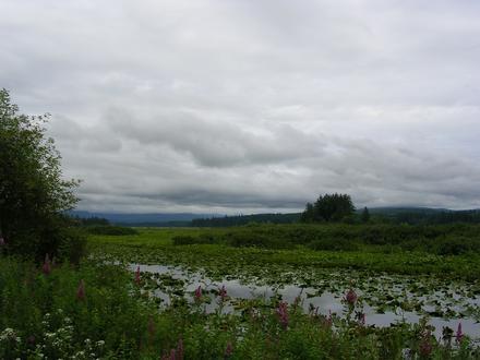 Silver Lake Image