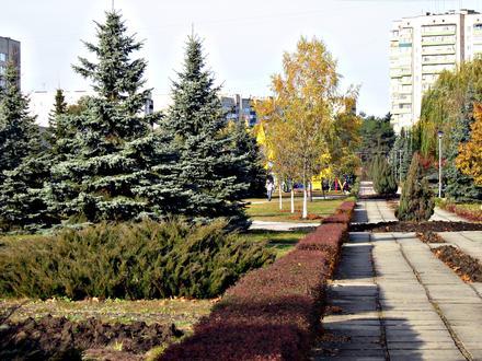 Netischyn Image