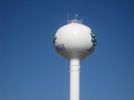 Breese Image