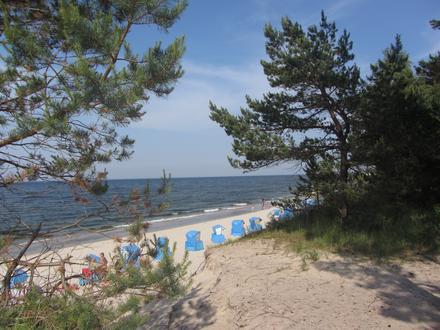 Zempin Image
