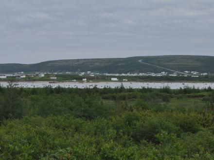 Forteau Image
