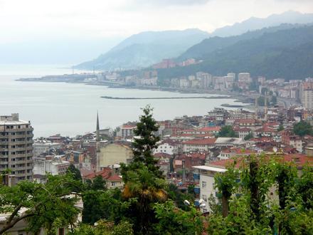 Rize Image