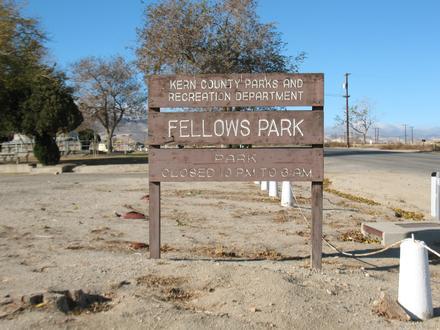 Fellows Image