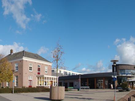 Duiven Image