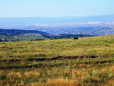 Tabakhmela Image