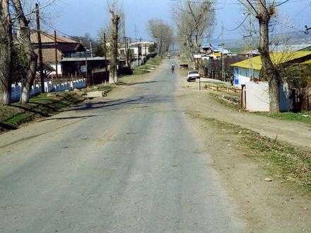 Murgeni Image
