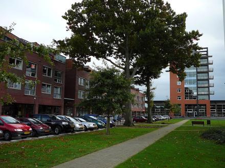 Wolvega Image