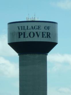Plover Image