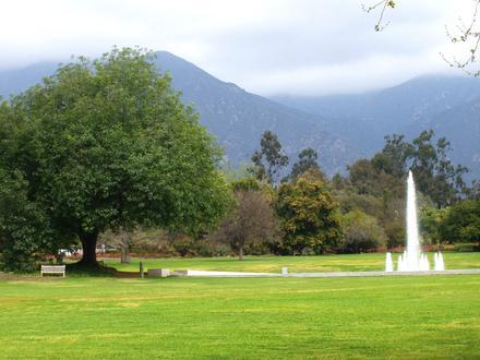 Arcadia Image