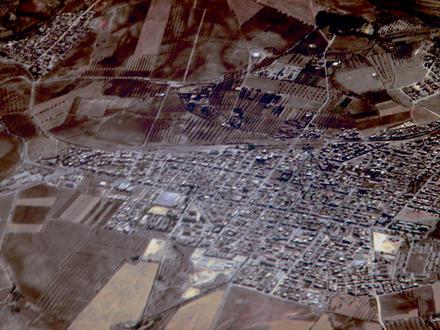 Sabra Image