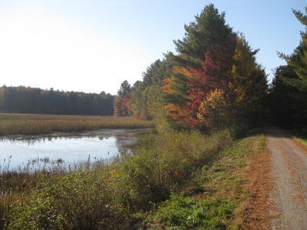 Swanton Image