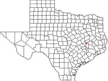 Iola Image