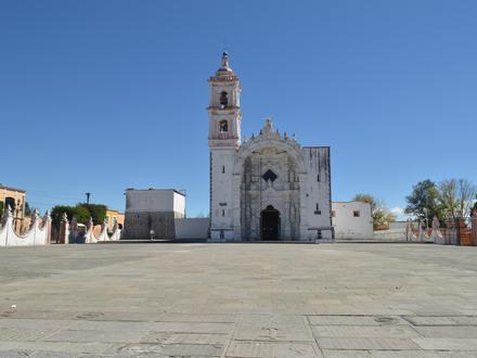 Panotla Image