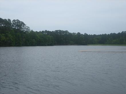 Ratcliff Image