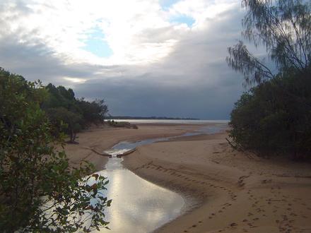 Pialba Image