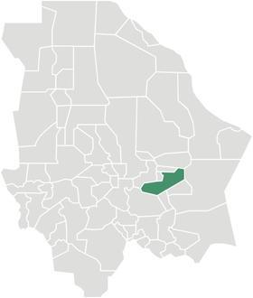 Saucillo Image