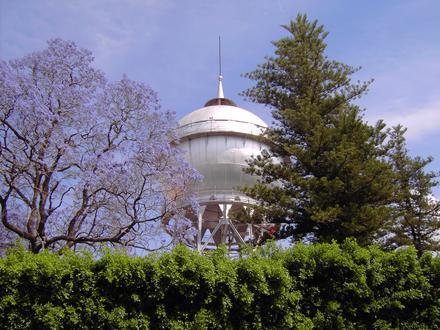 Celaya Image