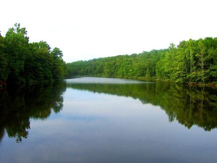 Ozark Acres Image