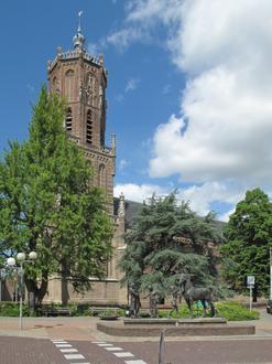 Elst Image