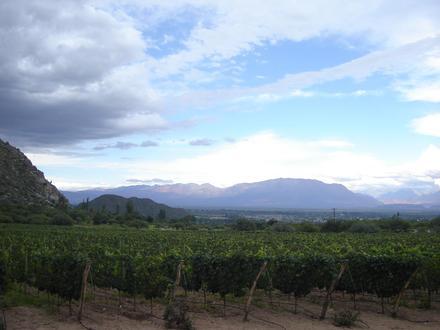 Cafayate Imagen