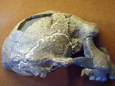 Sangiran Image