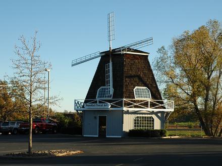Palo Cedro Image