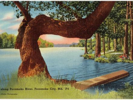 Pocomoke City Image