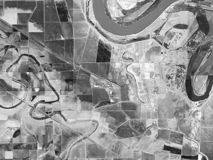 Cummins Image