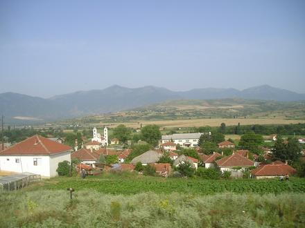 Čaška Image