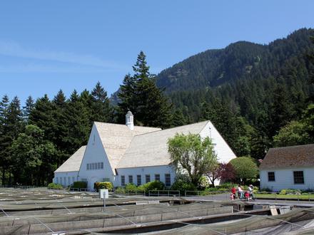 Bonneville, Oregon Image