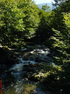 Georgi-Damyanovo Image