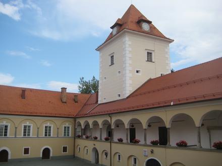 Rače Image