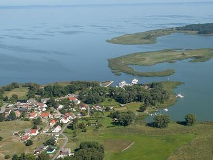 Altwarp Image
