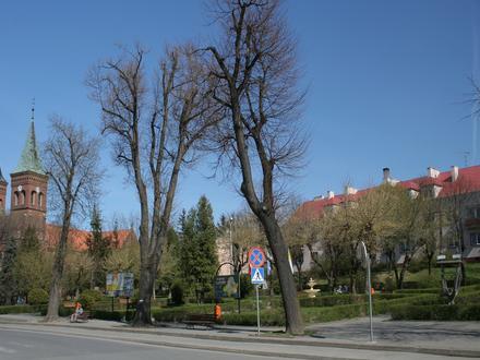 Błażowa (plaats) Image