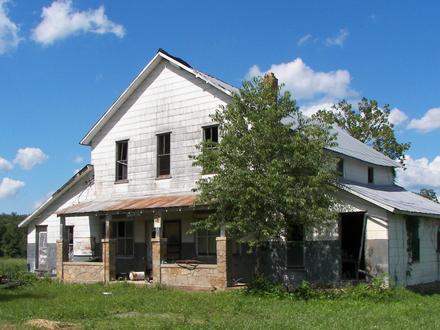 Dillard Image