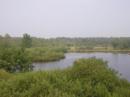 Oud-Turnhout Image