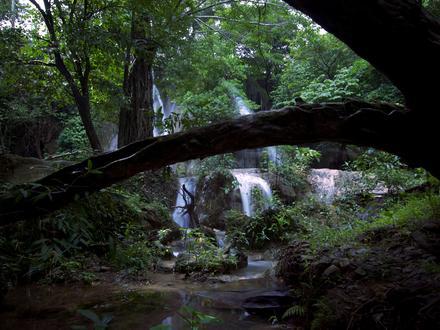 Tanay Image
