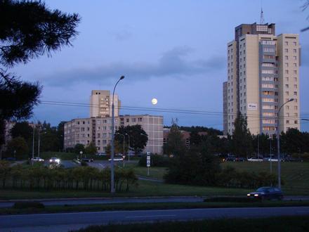 Lazdynai Image