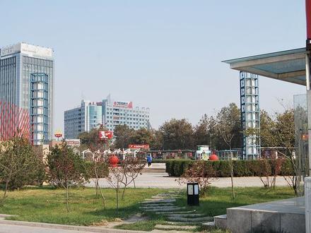 Zichuan Image